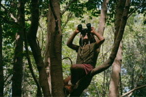 Kid with binoculars looking for birds