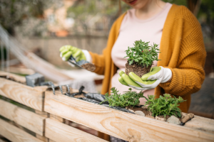 Photo of a woman gardening
