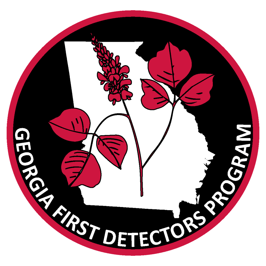 First Detector Logo